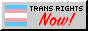 transrightsnow2